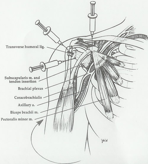 Dr. John E. Prolotherapy Vancouver BC Naturopathic